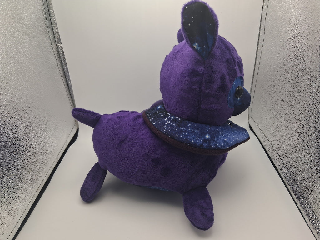 Lucy the Alpaca