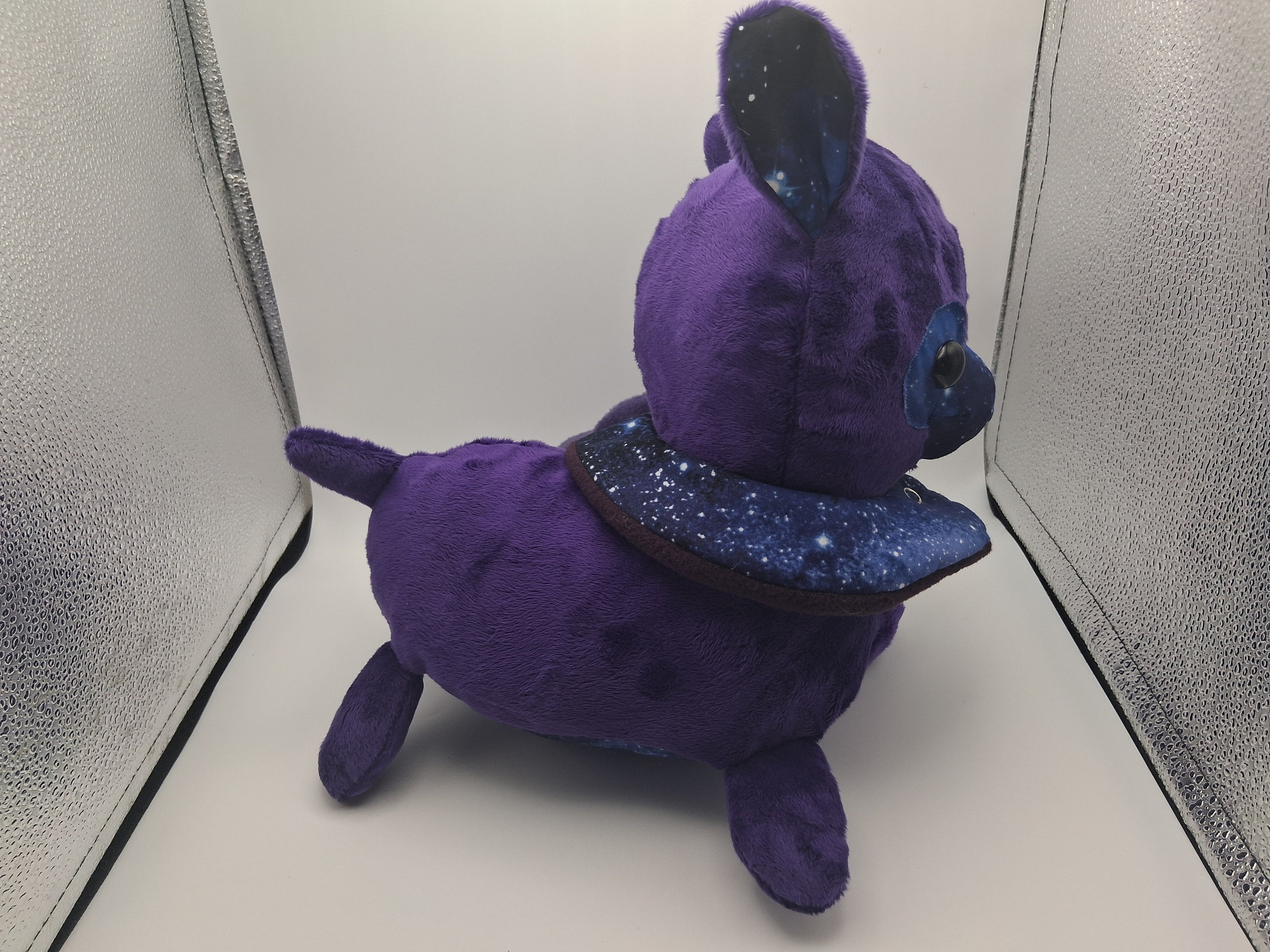 Lucy the Alpaca